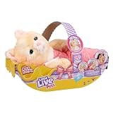 Little Live Pets - Cozy Dozys:ジンジャー・ザ・キティ|インタラクティブなぬいぐるみキティ。25以上の音と反応。魔法の目の動き。毛布、おしゃぶり、電池が付属。対象年齢4歳以上。