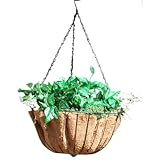 Austram-グリフィスクリークで31707 16を設計します。ハイドパークはプランターグリーンハンギング