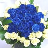 特別な日に！青いバラと白いバラのブーケボレロ♪（花束）30本 【生花】【お祝い・記念日・誕生日・フラワーギフト・バラ】
