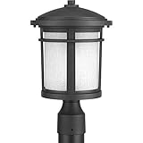 Progress Lighting P6424-31 Traditional/Casual 1-100W Med Post Lantern, Black [並行輸入品]