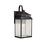 Capital Lighting 9111OB Outdoor Wall Lantern with Seeded Glass Shades, Old Bronze Finish [並行輸入品]