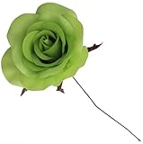 ヴァリエローズ M ライム 61-10002-27