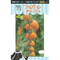 Amazon | 野菜種子 【フラガールオランジェ】ミニトマト 小袋（8粒