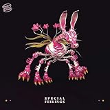 SPECIAL FEELINGS [12 inch Analog]