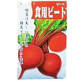 廿日大根 種 【食用ビート】 小袋（約40ml）