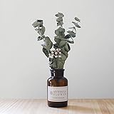 【Blooming＆me】フラワーデザイナーおすすめ！ 豪華 ドライフラワースワッグ＆花瓶セット 【選べる4種類のドライフラワー】 (丸葉ドライユーカリ)