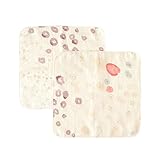 NAOMI ITO わたガーゼハンカチ 2枚セット アメザイク 9860