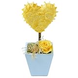 KOBE Flower smith ReiRi　プリザーブドフラワー ハート・トピアリー デラックス版 イエロー 送料無料【日時指定便対応】