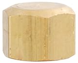 LDR 508 56-8 Flare Cap, 1/2-Inch, Brass by LDR Industries