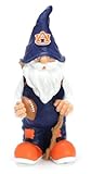 NCAAオスGarden Gnome