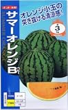 【種子】スイカ　サマーオレンジベビー 約8粒
