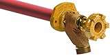 Woodford 101C-FL Wall Faucet [並行輸入品]