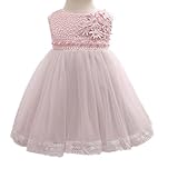 PAPA KIDS ベビードレス 赤ちゃんワンピース ノースリーブ 結婚式 セレモニードレス 赤ちゃん お宮参り フォーマルドレス お誕生日 プレゼント 記念写真 (70cm, ピンク)