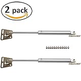 dywishkey 100 N / 22.5lbガスStruts、ガススプリング、ガスストラットリフトサポート、ガス、衝撃、蓋Stay、蓋サポート( 2個入り)