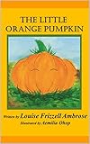 The Little Orange Pumpkin (English Edition)