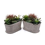 T4U 造花アレンジ 人工多肉植物(一)NO.4 インテリア ダークグリーン プレゼント 2点入り