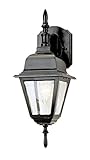 Transglobe Lighting 4411 BK Outdoor Wall Light with Beveled Glass Shade, Black Finished [並行輸入品]