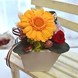 プリザーブドフラワー ギフト　ガーベラポット　[CANDY] (オレンジ)