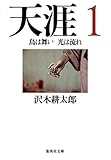 天涯 1 鳥は舞い 光は流れ (集英社文庫)