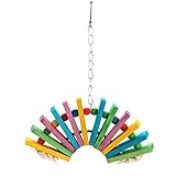 Parrot Toy, Wood Ladder Climb Swing Colorful Bird Cage Blocks Toy for Parrot Hamster [並行輸入品]