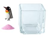 花市場直送便 ミニチュアガラス キングペンギン & カラーサンド ラベンダー & 植え込み用グラス ニューブロックS