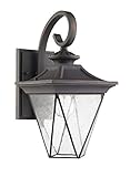 Chloe Lighting CH22018RU15-OD1 Farnsworth Transitional 1-Light Rustic Outdoor Wall Sconce 15-Inch He