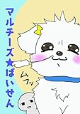マルチーズ☆ぱいせん