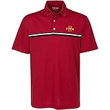 NCAA Iowa State CyclonesメンズWhitfield Engineered Chestストライプポロ、チェリーウッド、Xラージ