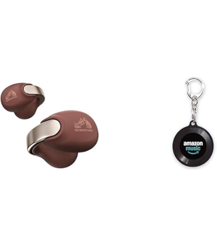 Amazon.co.jp: JVCケンウッド Victor HA-NP1T-T ワイヤレスイヤホン