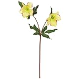 MAGIQ 東京堂 上質な造花  レイラクリスマスローズ   グリーンモーブ FM005452-023