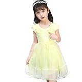 miidoo 子供服　ガールズワンピース　プリンセスドレス　レーススカート　チュールスカート　おしゃれ　ファッション　可愛い　無地短袖　通園　通学　スクール　膝丈　女の子　キッズ用　110cm　120