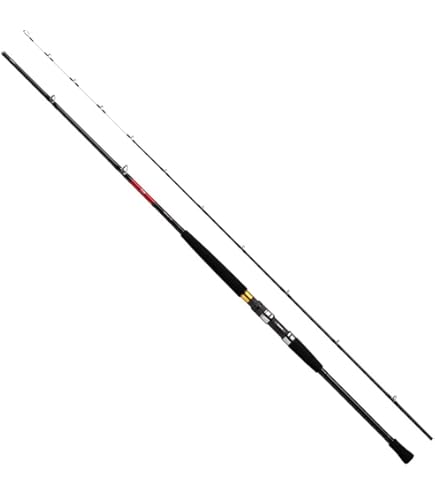 Amazon | ダイワ(DAIWA) 21 リーオマスター SX 真鯛 M-270・N | ダイワ