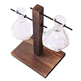 Lovoski ガラス　卓上　水耕　花瓶　トレイ　2ダイヤモンドビーカー　実用的　工芸品　全３スタイル - 2ダイヤモンドビーカー