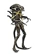 NECA – Aliens 7 " Scaleアクションフィギュア – シリーズ12 Xenomorph Warriorブラウン ( Battle Damaged )