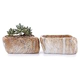 T4U 13.5CM 独創 ストーンシェイプ 多肉植物、サボテン鉢 フラワーポット プランター容器 2個セット