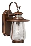 Vaxcel T0124 Galway Smart Lighting Outdoor Wall Light, 7-3/4", Burnished Bronze Finish [並行輸入品]