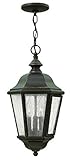 Hinkley 1672OZ Outdoor Edgewater Light [並行輸入品]