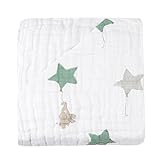 エイデンアンドアネイ / Aden+Anais DREAM BLANKET並行輸入品 (up up away)