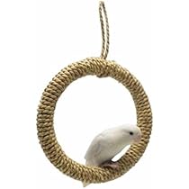 41cIsC46EOL._AC_UL210_SR210,