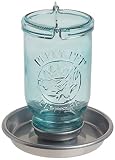 Perky Pet PP783 Antique Wide Blue Glass Waterer