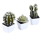 MyGift人工サボテン&多肉植物、ホワイトセラミックミニポット、セットの3