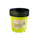 フラワーポット　３．５号　１２穴　６鉢組