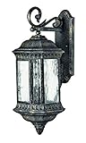 Hinkley 1725BG Outdoor Regal Light [並行輸入品]