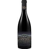 オーケストラ ガルナッチャ フォスカ デ プリオラート [ 2015 赤ワイン ミディアムボデ...