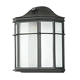 Sunset Lighting F7973-31 Outdoor Wall Sconce with Frosted Glass, Black Finish [並行輸入品]