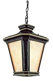 Trans Globe Lighting 5845 BGO Outdoor Hanging Light, Brown and Gold [並行輸入品]