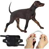 Nikkashop 犬用 関節サポーター スプリング内蔵 X型ベルト 前足後足左右兼用 LXLサイズ 小型犬 中型犬 大型犬 膝関節保護 老犬介護用