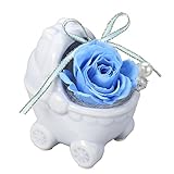 ギフトに最適 永遠の花 プリザーブドフラワー 東京堂ジュエルベビーカーブルー AG008042 AG008042