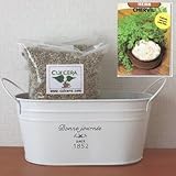 チャービルの栽培セット/標準セット（液体肥料なし）プランターホワイト仕様