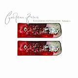 �����o�C�Y�E�g�D�E���@�C�I���C��:1993-1996 VOL.2